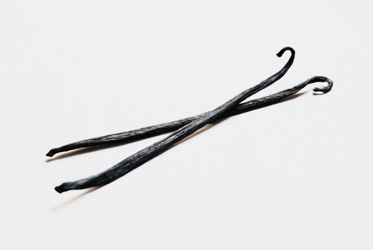 Vaniljestenger - Vanilla Planifolia Fruit Oil brukt i Tallove Vanilla leppepomade